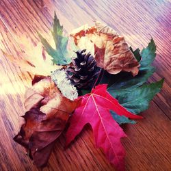 Close-up of leaves on wooden table