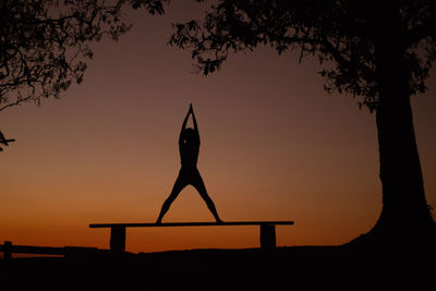 Silhouette woman by tree against sky during sunset