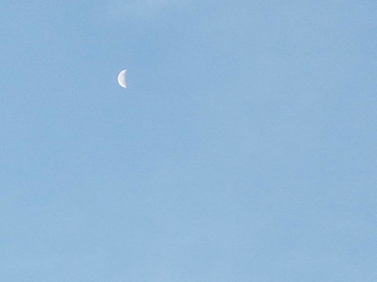 LOW ANGLE VIEW OF MOON IN SKY