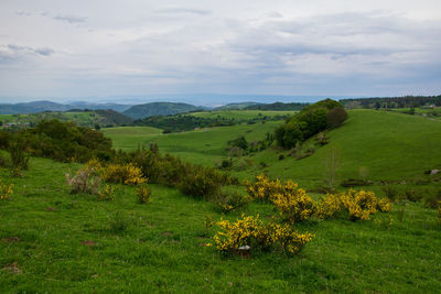 Scenic view of landscape against sky