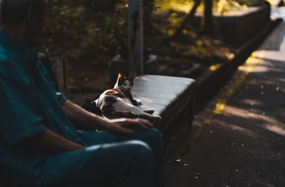 Man sitting on bench with cat outdoors