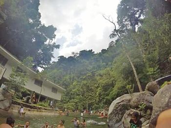 View of trees on mountain