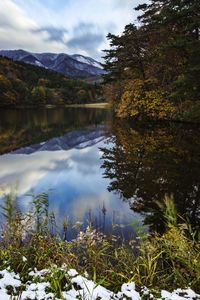 Scenic view of lake by trees against sky