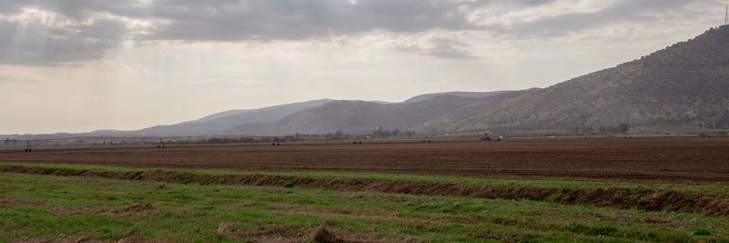 Scenic view of agricultural field against sky