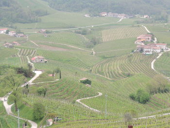 High angle view of agricultural field