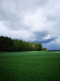 Scenic view of agricultural field against sky