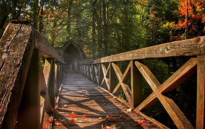 Footbridge in forest