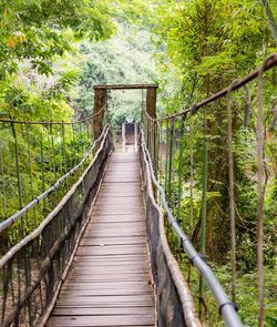 Wooden footbridge in forest