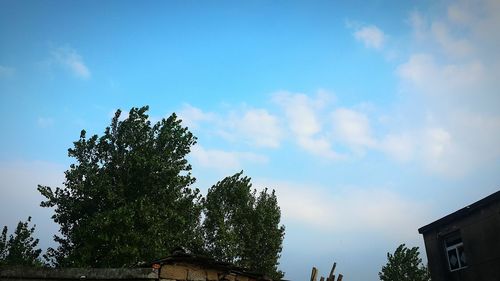 Low angle view of building against blue sky