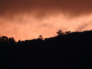 Silhouette trees against sky during sunset