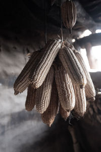 Close-up of dried plant hanging