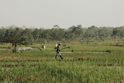Man walking on agricultural field