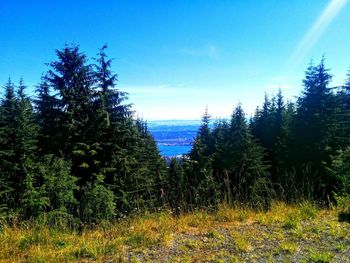 Scenic view of landscape against clear sky