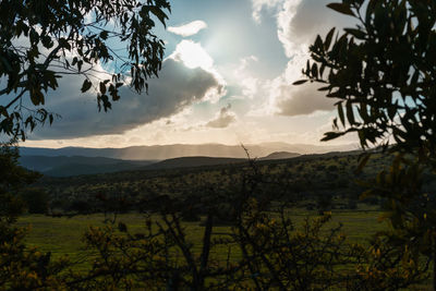 Scenic view of field against sky during sunset