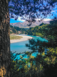 Scenic view of lake by trees against sky