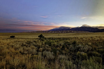Scenic view of field against sky during sunset