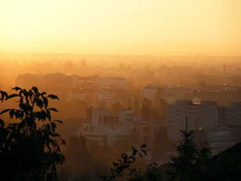 Silhouette trees and buildings against sky during sunset in city