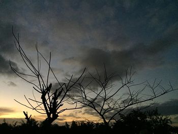 Low angle view of silhouette bare tree against sky