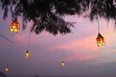 Low angle view of illuminated lanterns hanging on tree against sky