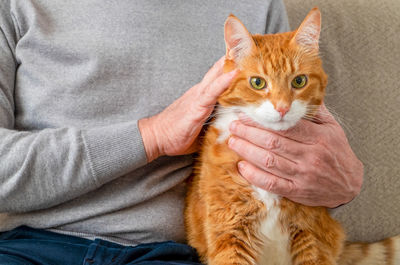 An adult large red cat sits on the couch next to its owner, an adult man. 