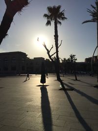 Silhouette of palm trees at sunset