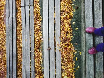 Low section of woman standing on wooden steps during autumn