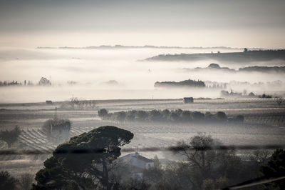 Scenic view of landscape against sky