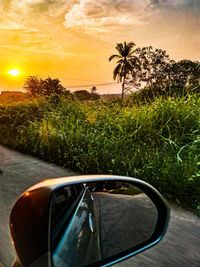 View of side-view mirror at sunset