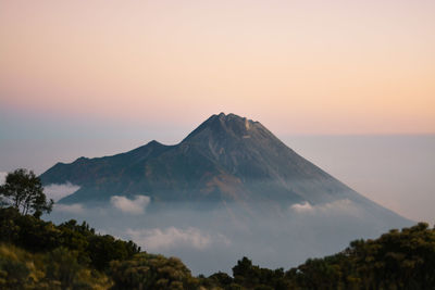 Merbabu mountain national park