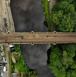 Panoramic view of bridge over plants and trees