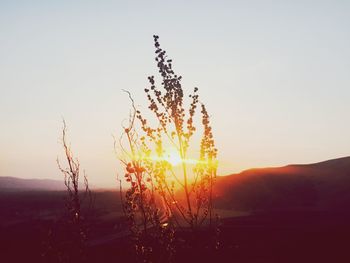 Sunset over mountain