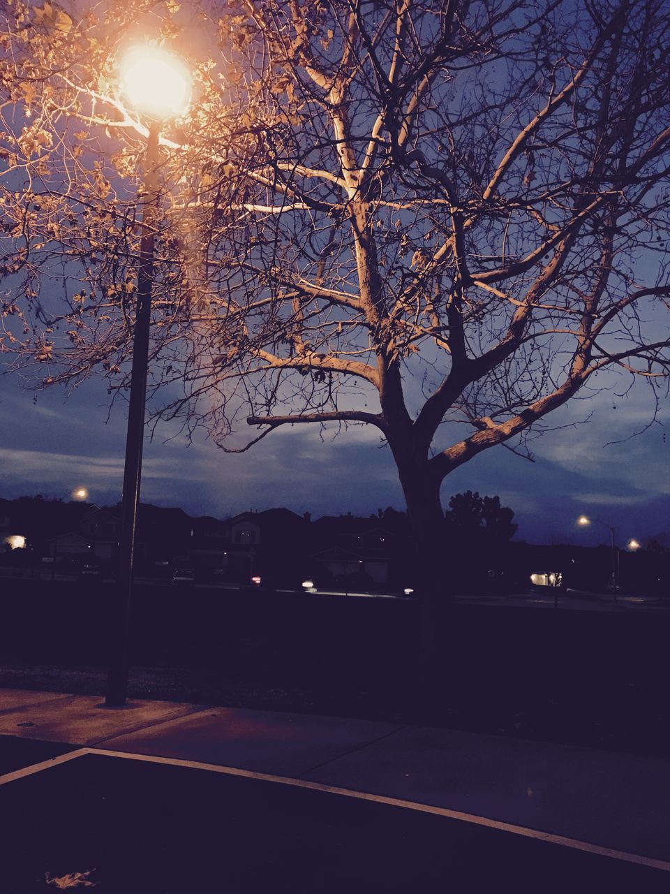 tree, bare tree, branch, silhouette, sky, street light, illuminated, night, tranquility, nature, dusk, lighting equipment, road, scenics, tranquil scene, beauty in nature, sunset, street, outdoors, no people