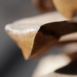 Close-up of bread on table