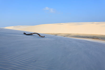 View of a desert