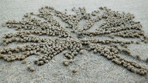 Close-up of sand on beach