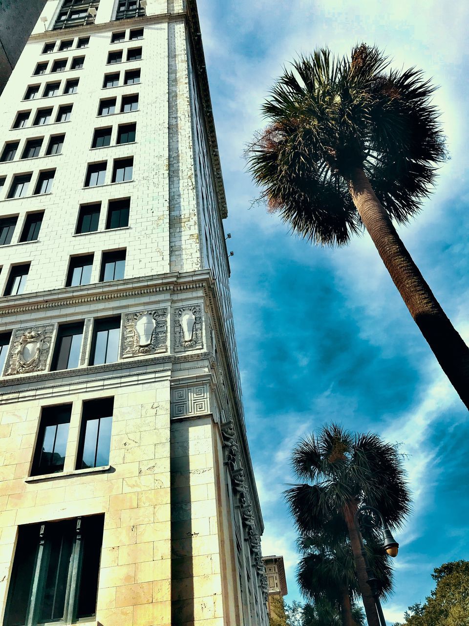 LOW ANGLE VIEW OF COCONUT PALM TREE AGAINST BUILDING