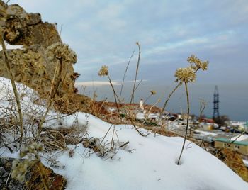 Close-up of snow on land against sky