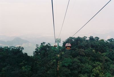 Overhead cable car in forest against sky