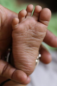 Close-up of person holding baby feet