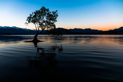 Silhouette tree by lake against sky during sunset