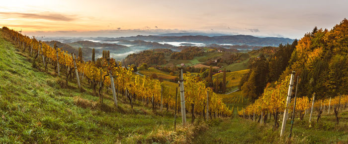 Panoramic view of landscape against sky during sunset