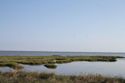 Scenic view of calm sea against clear sky