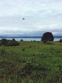 Scenic view of sea against cloudy sky