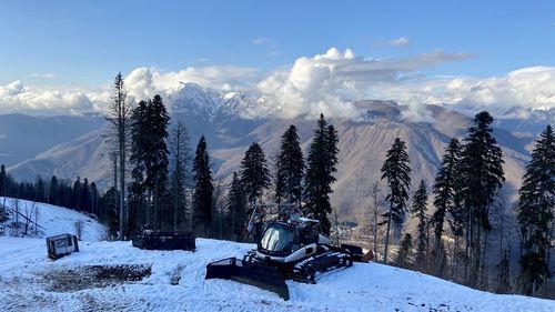 Panoramic view of trees on snow covered field against sky