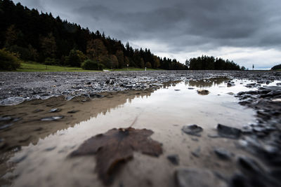 Surface level of trees in calm lake against cloudy sky