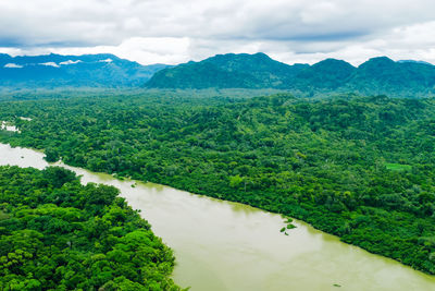 environment