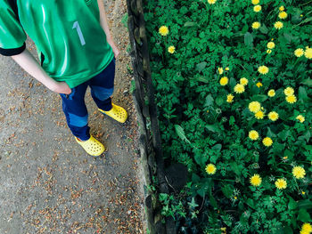 High angle view of man standing on footpath by plants