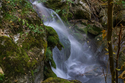 Scenic view of waterfall in forest