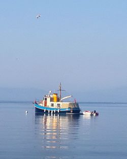 Boat sailing in sea against clear sky