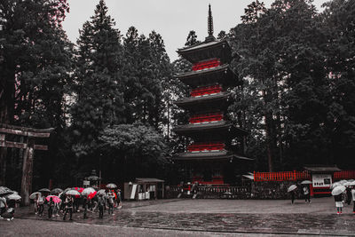 People on illuminated road amidst trees and buildings in city